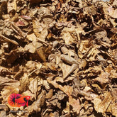 Catappa Indian Almond Leaves (20 leaves/bag)